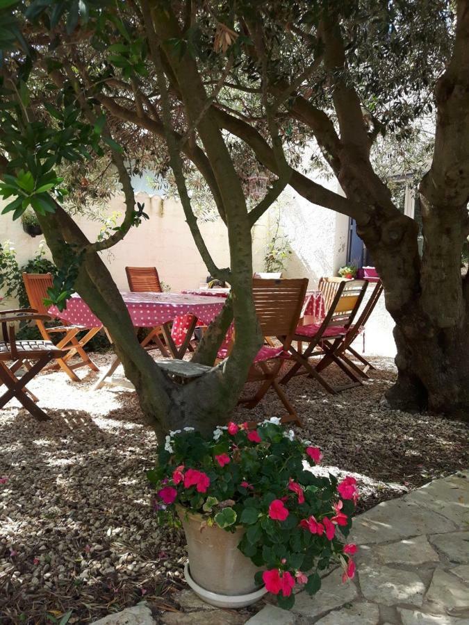 Saint-Nazaire-d'Aude La Vigne Des Heures Claires מראה חיצוני תמונה